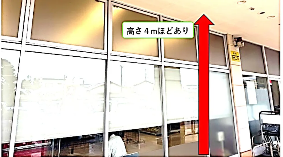 【西友 浜松船越店】1F店頭入口横 外区画(軒下屋根あり) 物販、食物販のポップアップストアや、プロモーション用途に最適なスーパー店外催事イベントスペース
