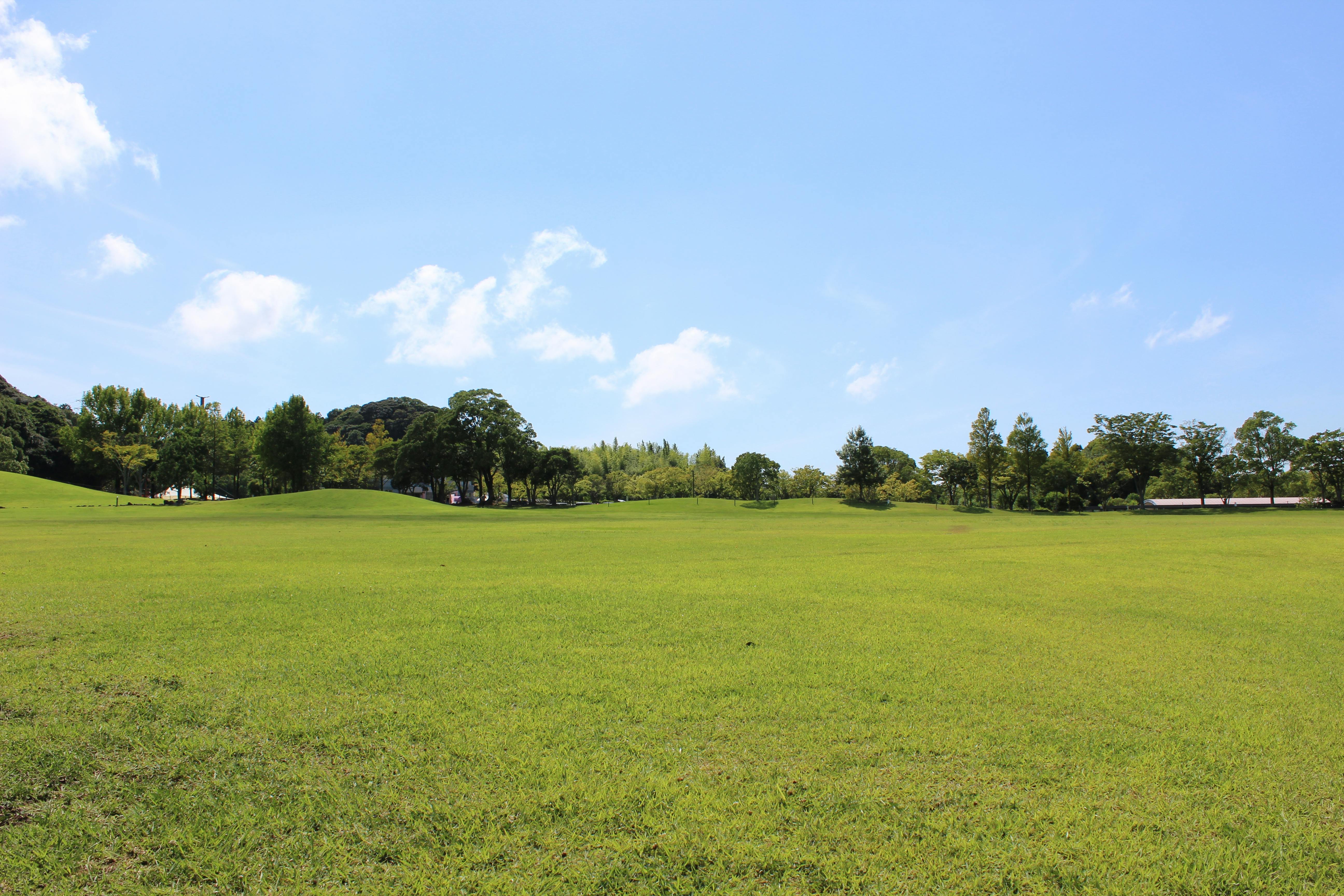 芝生広場