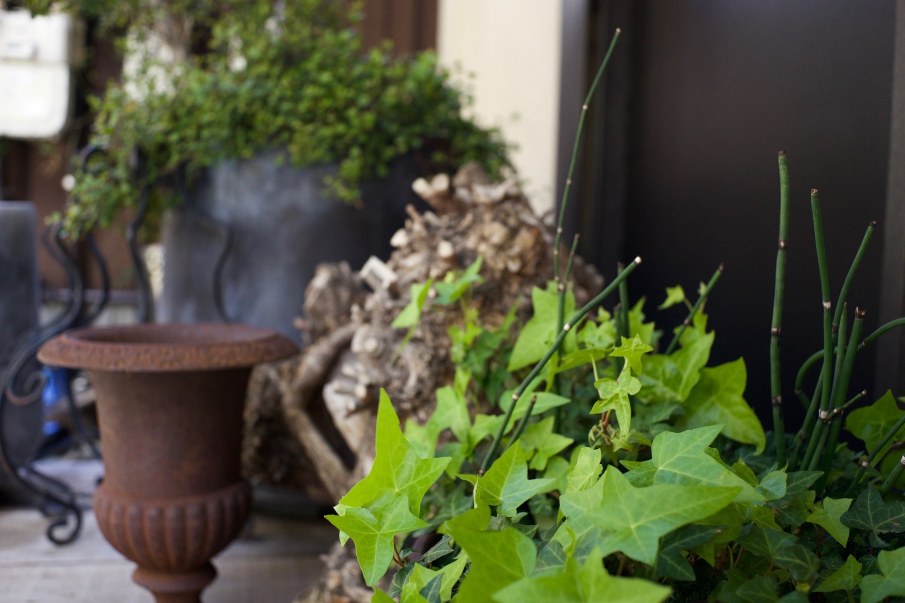 観葉植物も花を添えるスペースです