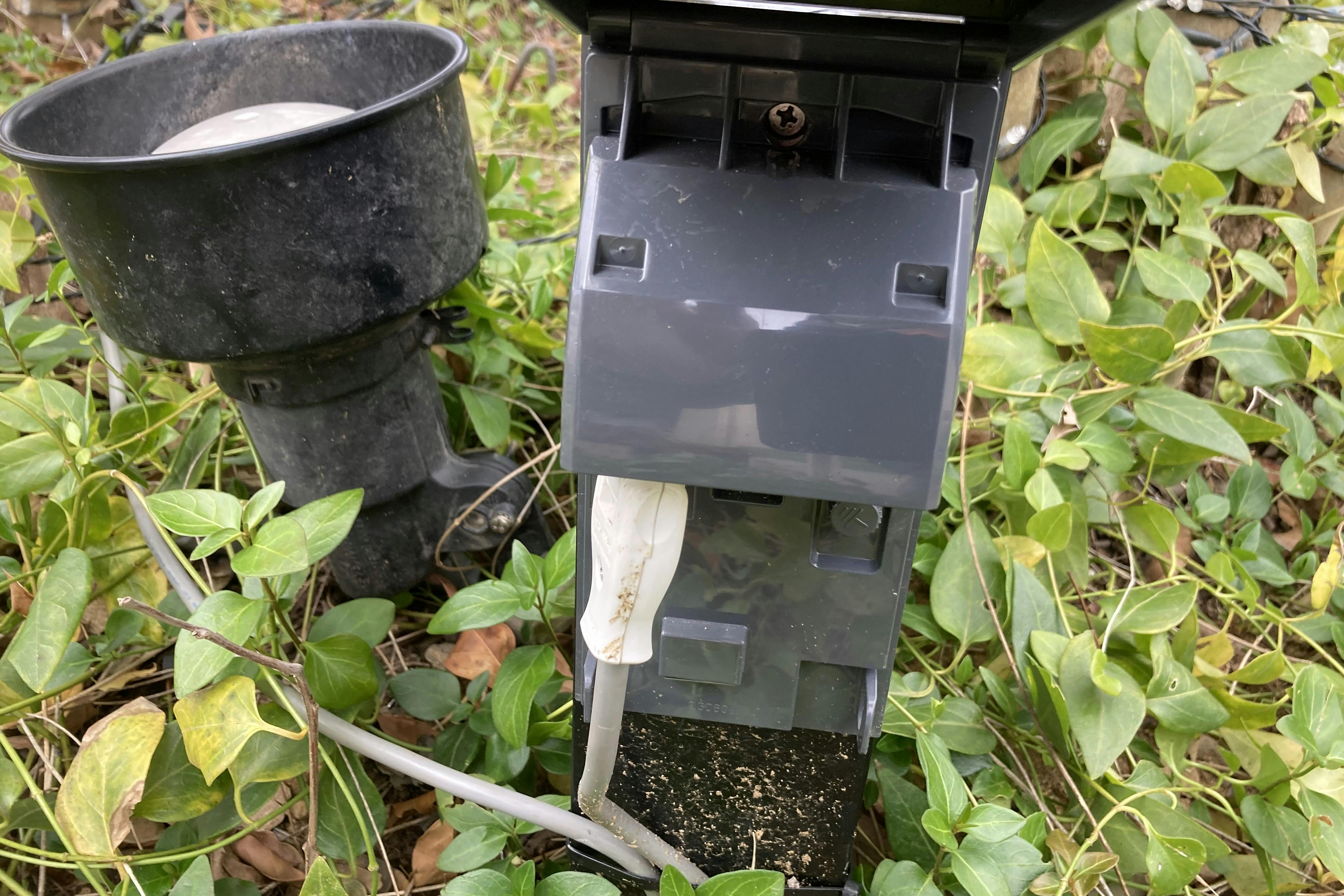 【ミスターマックス おゆみ野店】中央広場（キッチンカー小型） キッチンカーや物販用途に最適な総合ディスカウントストアの催事イベントスペースの画像7