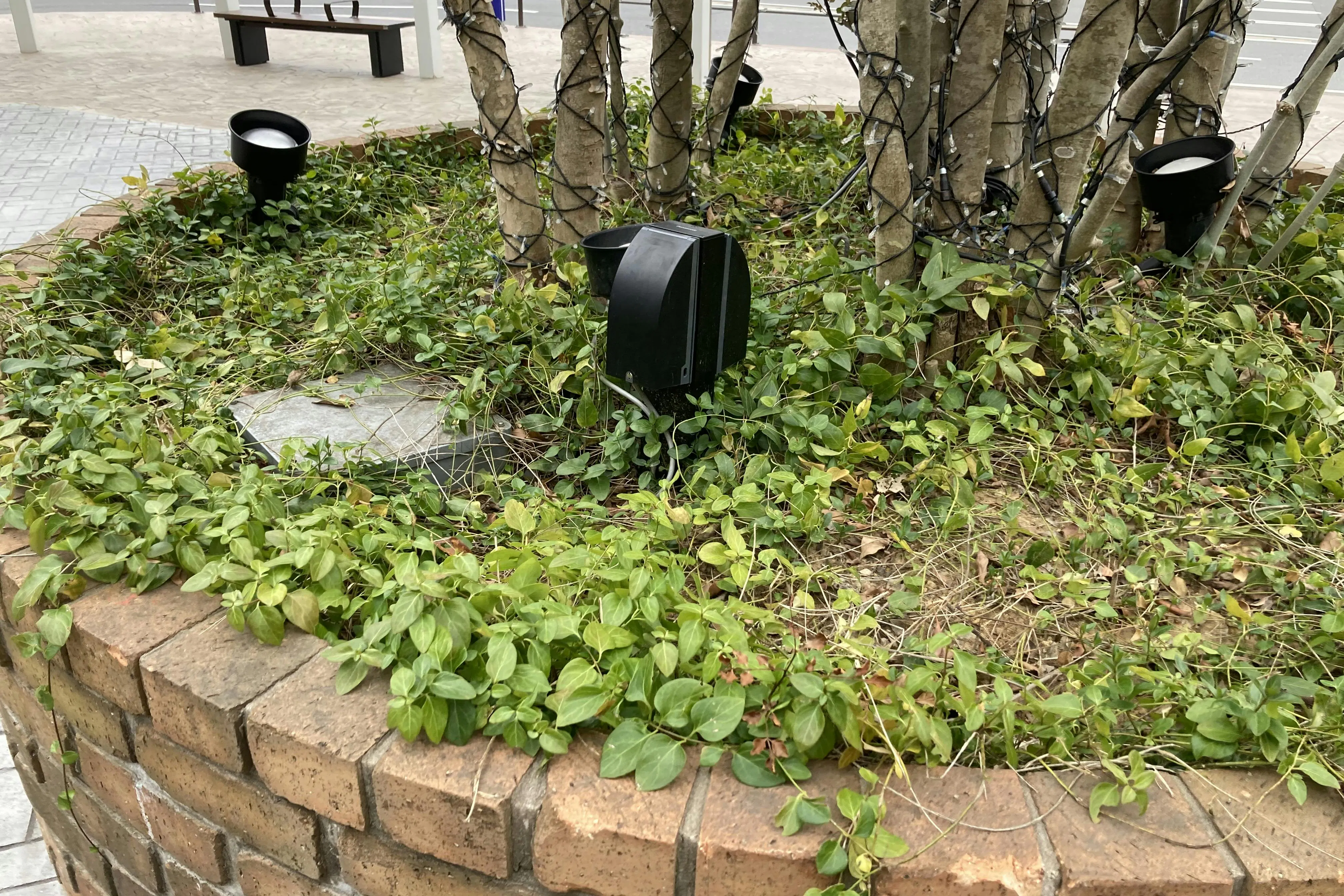 【ミスターマックス おゆみ野店】中央広場(キッチンカー小型) キッチンカーや物販用途に最適な総合ディスカウントストアの催事イベントスペース