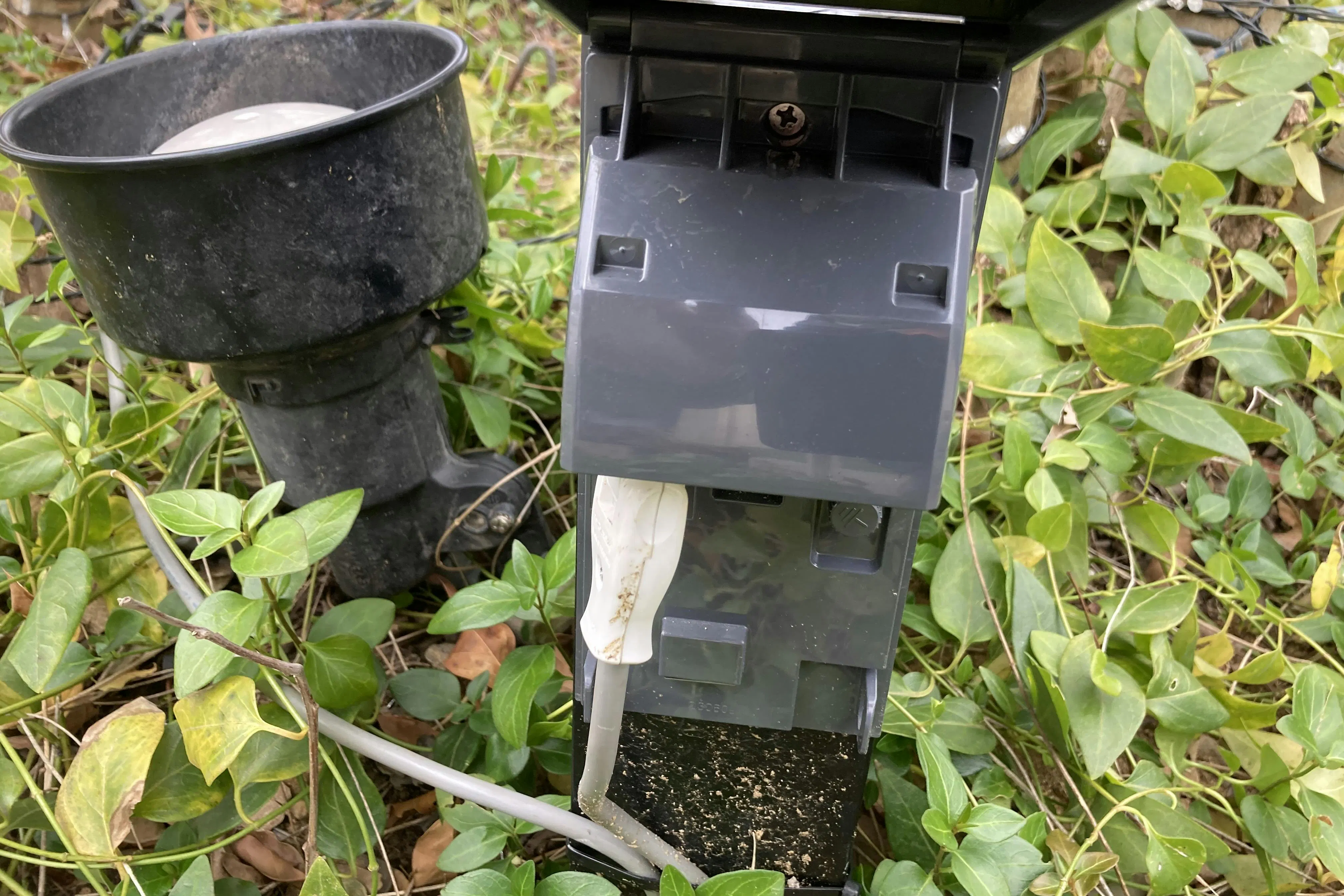 【ミスターマックス おゆみ野店】中央広場(キッチンカー小型) キッチンカーや物販用途に最適な総合ディスカウントストアの催事イベントスペース