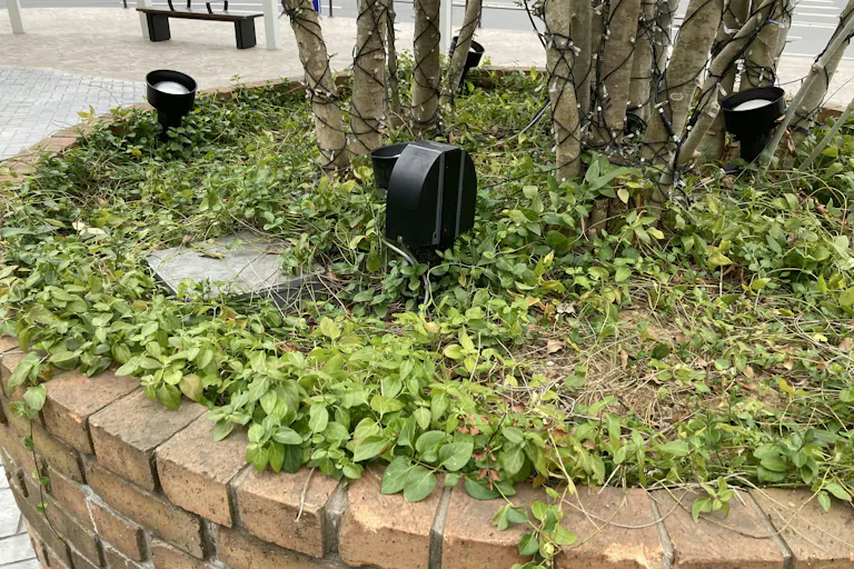 【ミスターマックス おゆみ野店】中央広場(キッチンカー小型) キッチンカーや物販用途に最適な総合ディスカウントストアの催事イベントスペースの画像6