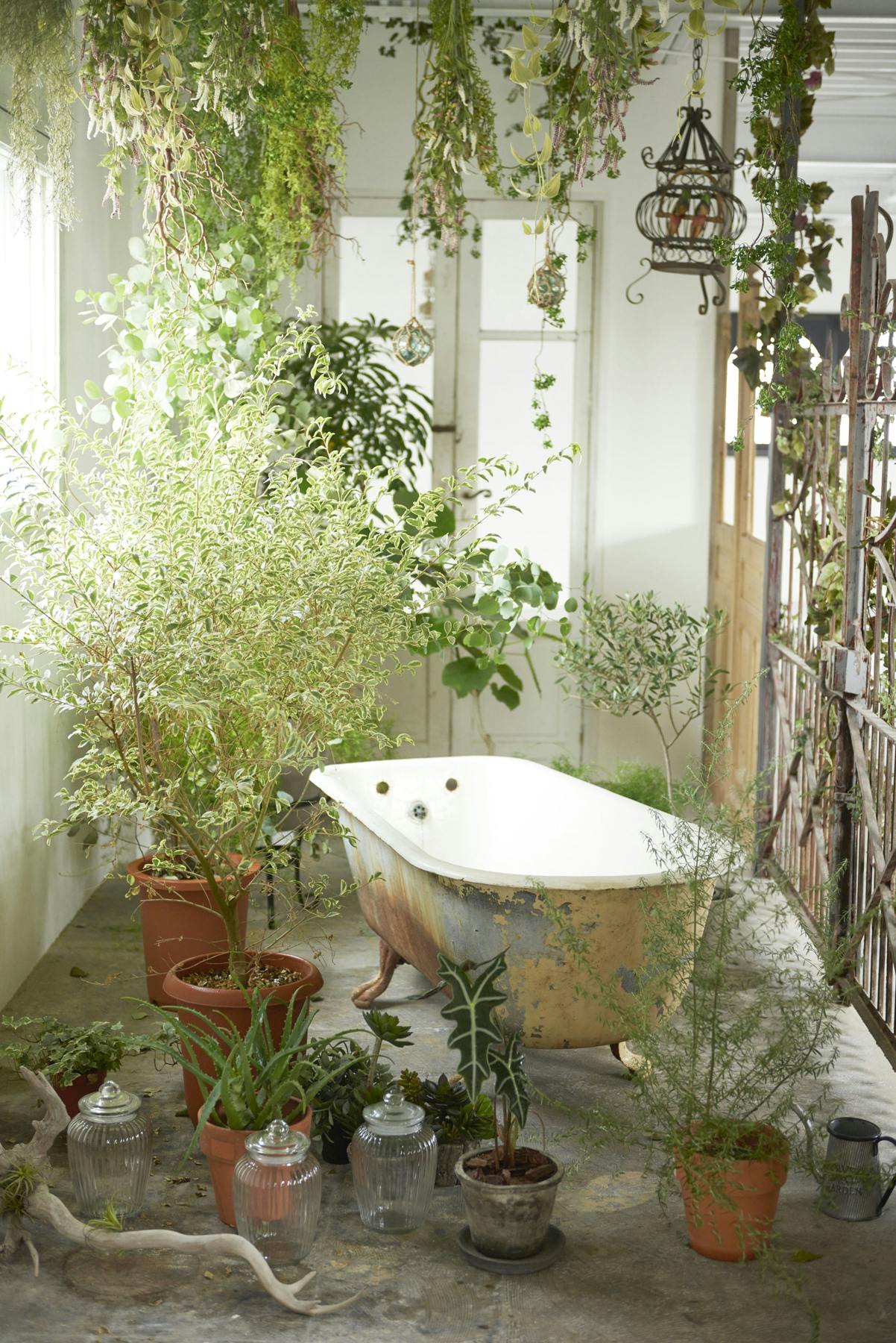 【若林駅8分】ロケや撮影会等の撮影用途、展示会に最適な自然光あふれるハウススタジオ