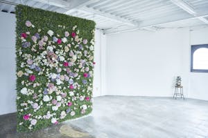 【若林駅8分】ロケや撮影会等の撮影用途、展示会に最適な自然光あふれるハウススタジオ