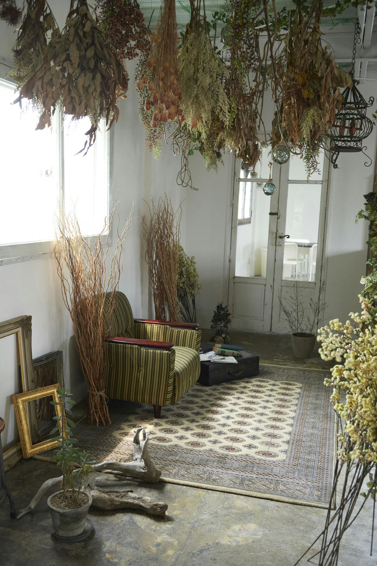 【若林駅8分】ロケや撮影会等の撮影用途、展示会に最適な自然光あふれるハウススタジオ