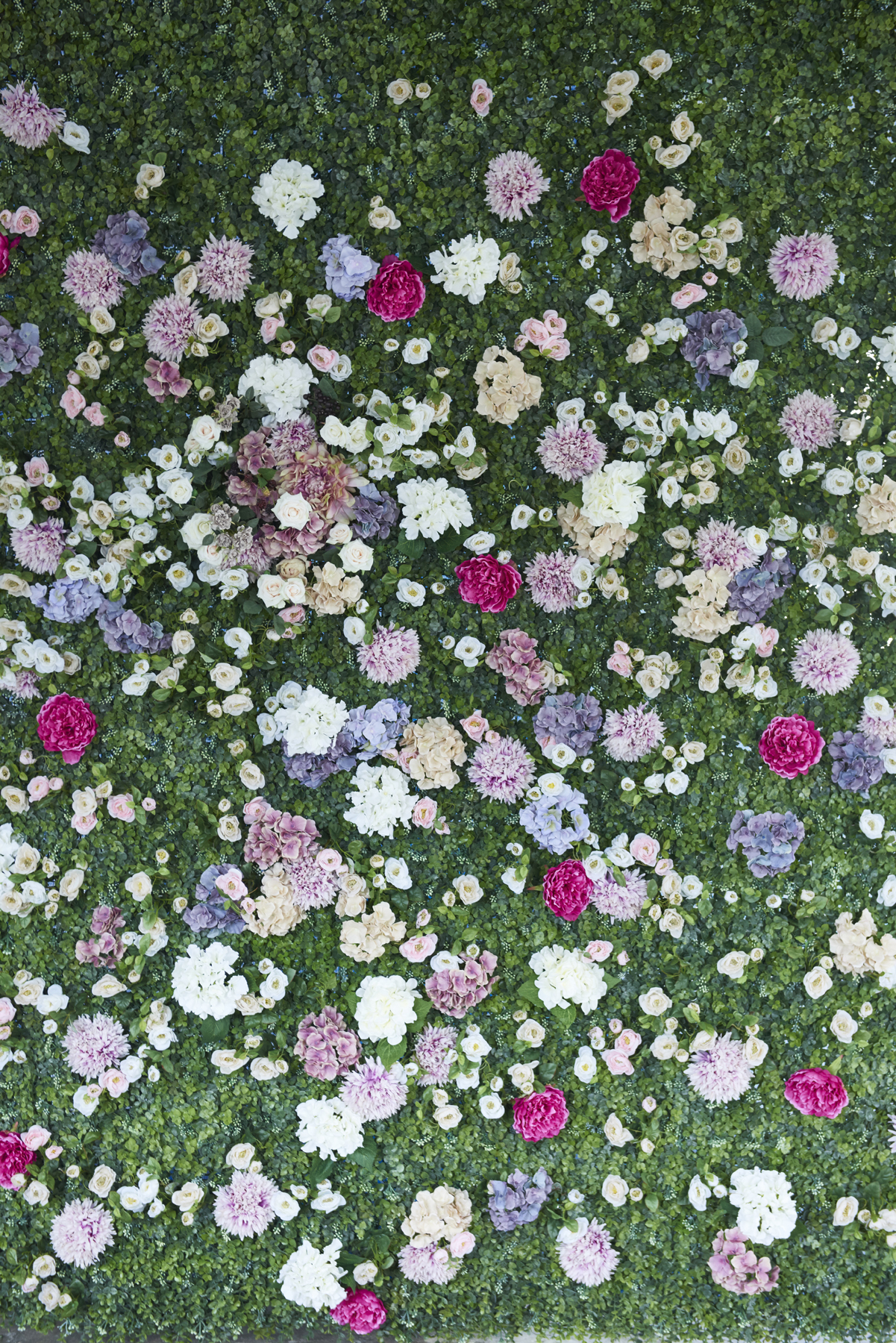 【若林駅8分】ロケや撮影会等の撮影用途、展示会に最適な自然光あふれるハウススタジオ