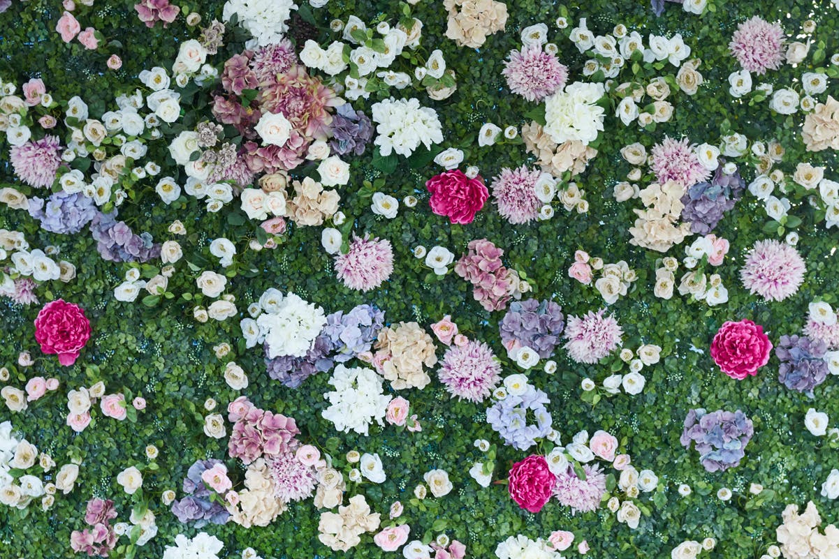 【若林駅8分】ロケや撮影会等の撮影用途、展示会に最適な自然光あふれるハウススタジオ