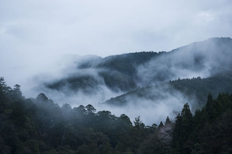 雨の日や朝は靄が出て幻想的な東吉野らしい風景になります
