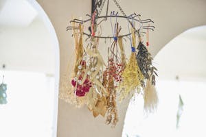 【鶯谷駅3分】展示会・ワークショップにおすすめ!24時間利用可能 自然光あふれるナチュラルスペース