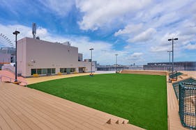 【横浜ワールドポーターズ】【イベント広場】屋上ルーフトップワールド