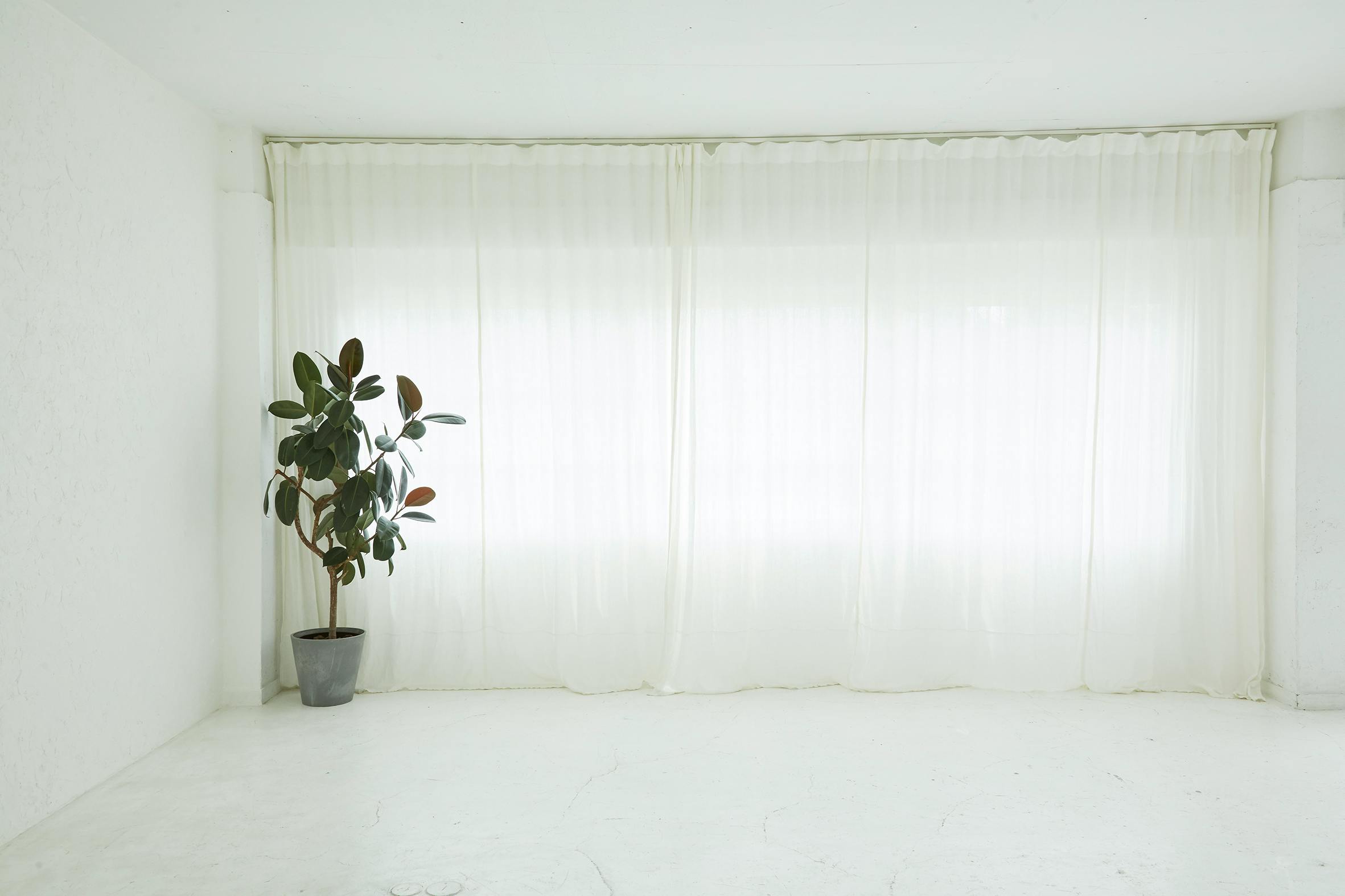 【外苑前駅1分】自然光あふれるシンプルモダンなスペース