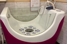 【下丸子駅2分】犬関連のワークショップや勉強会に最適な小型犬~中型犬用ドッグバスを完備している駅近レンタルスペース