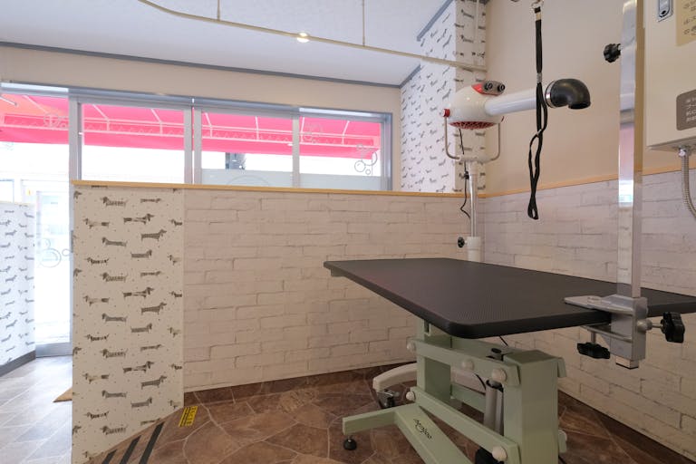 【下丸子駅2分】犬関連のワークショップや勉強会に最適な小型犬~中型犬用ドッグバスを完備している駅近レンタルスペースの画像4