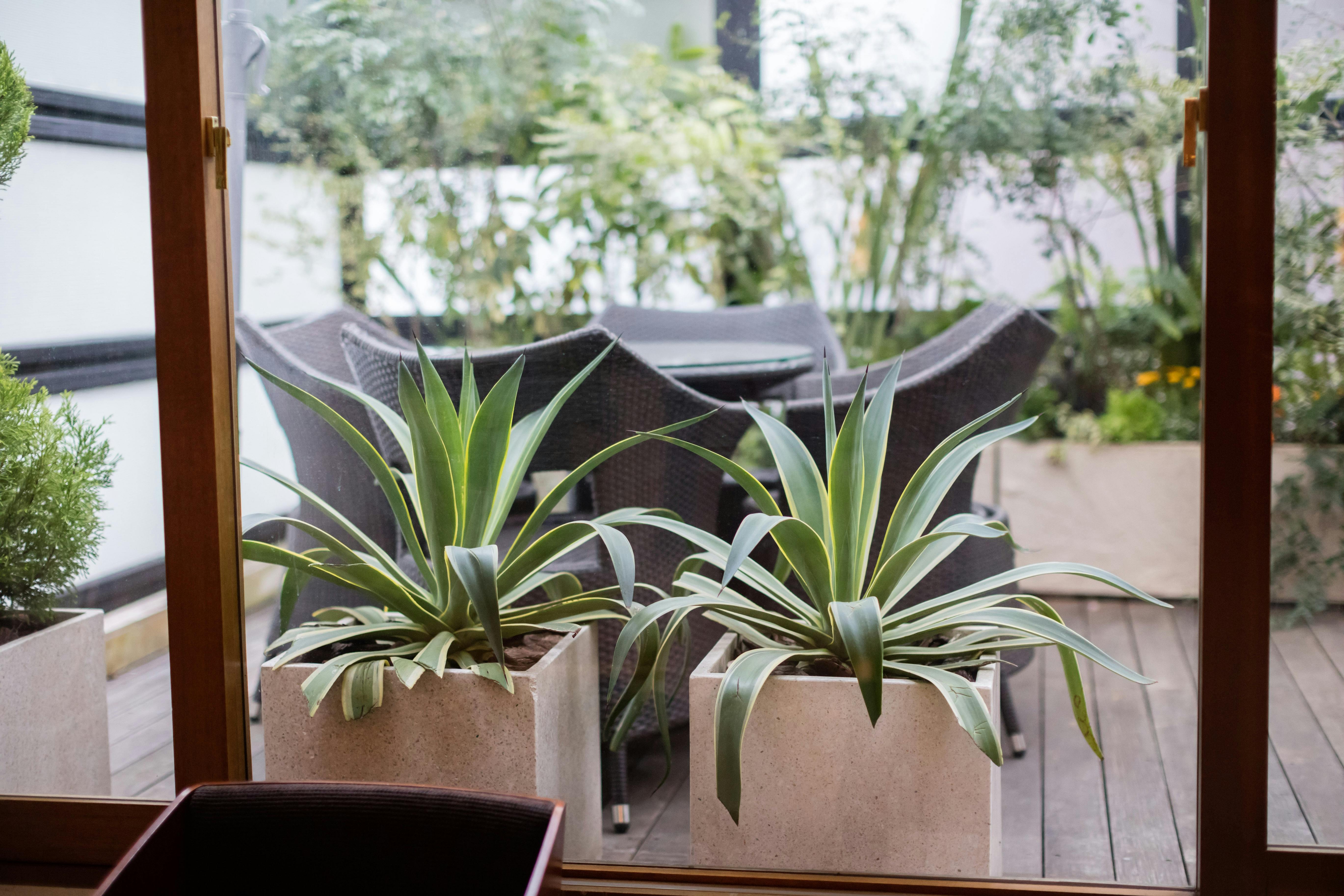 【表参道駅10分】撮影やイベント利用に適したラグジュアリーなラウンジスペース