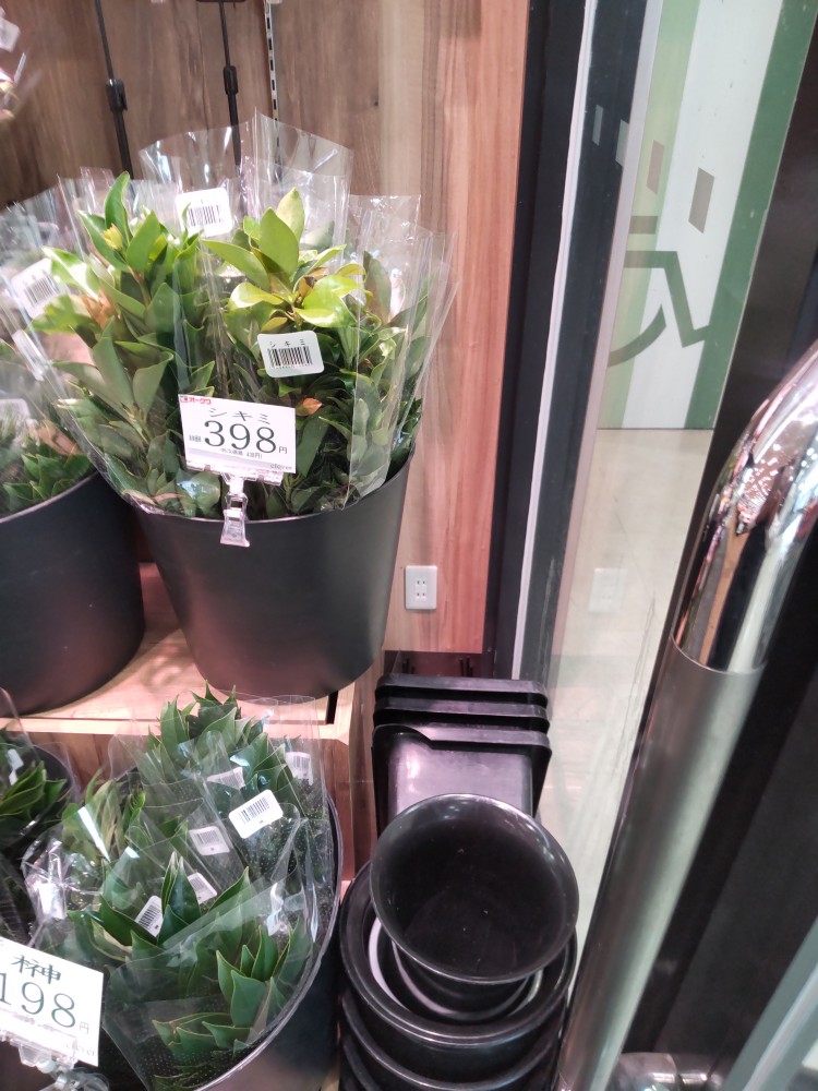 【オークワ大和郡山筒井北】プロモーションに最適な風除室沿いガラス面スペースの画像6