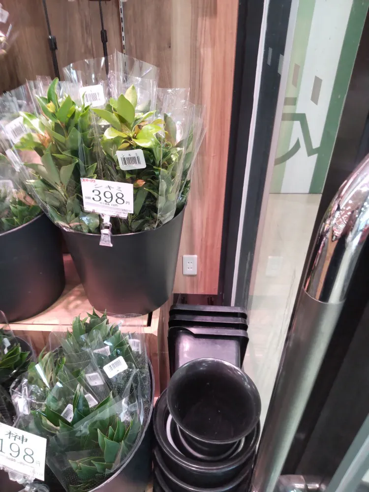 【オークワ大和郡山筒井北】プロモーションに最適な風除室沿いガラス面スペース