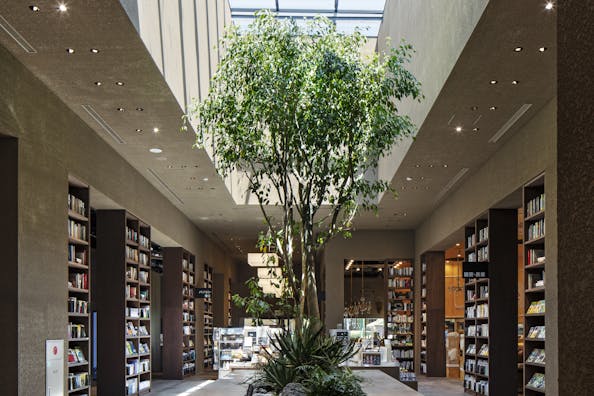 【TSUTAYA BOOKSTORE 常総インターチェンジ】ポップアップストアやプロモーションの実施可能なスペース(ツリー周り)