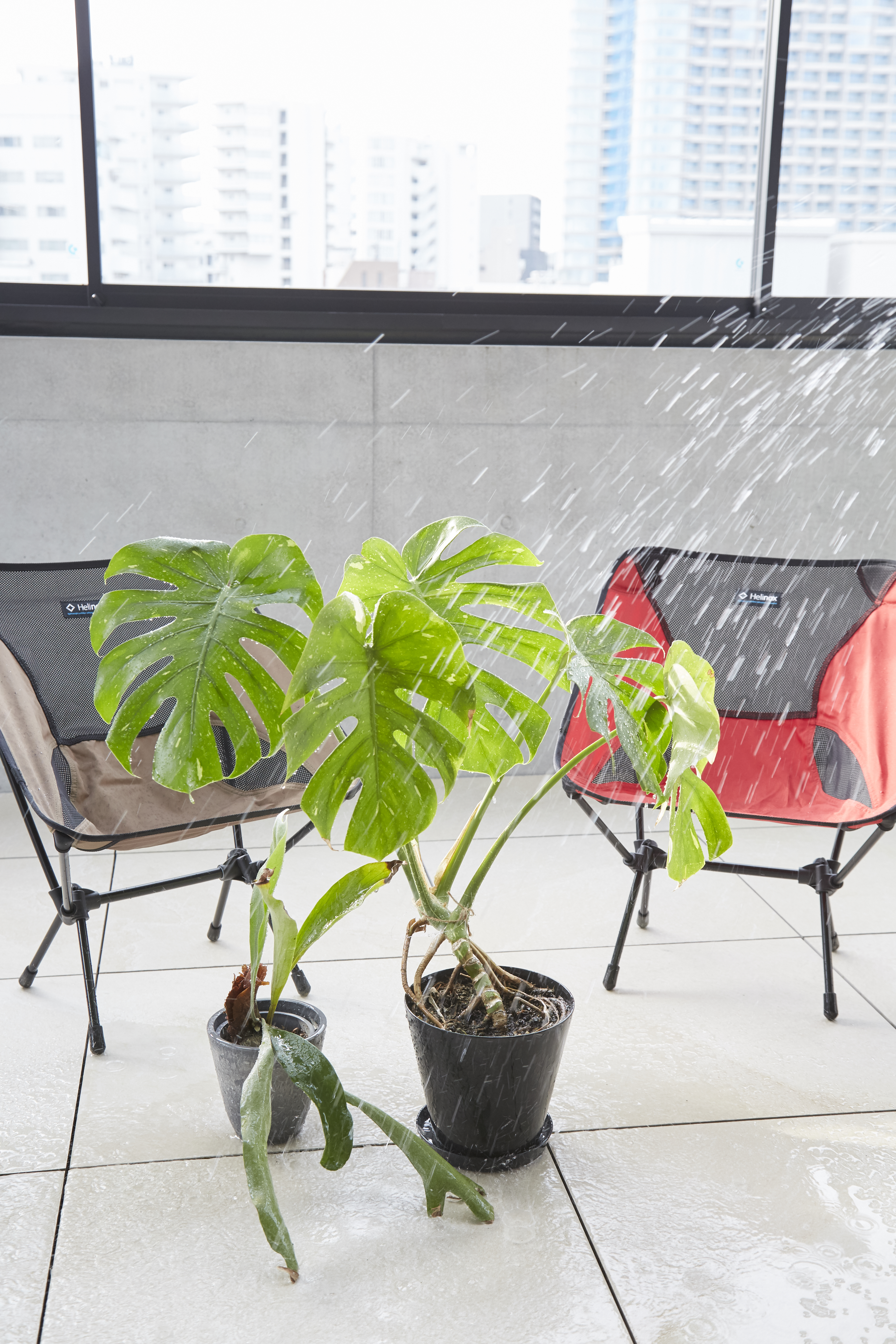 【北参道】ハウススタジオ（テラスでは水を使えます）