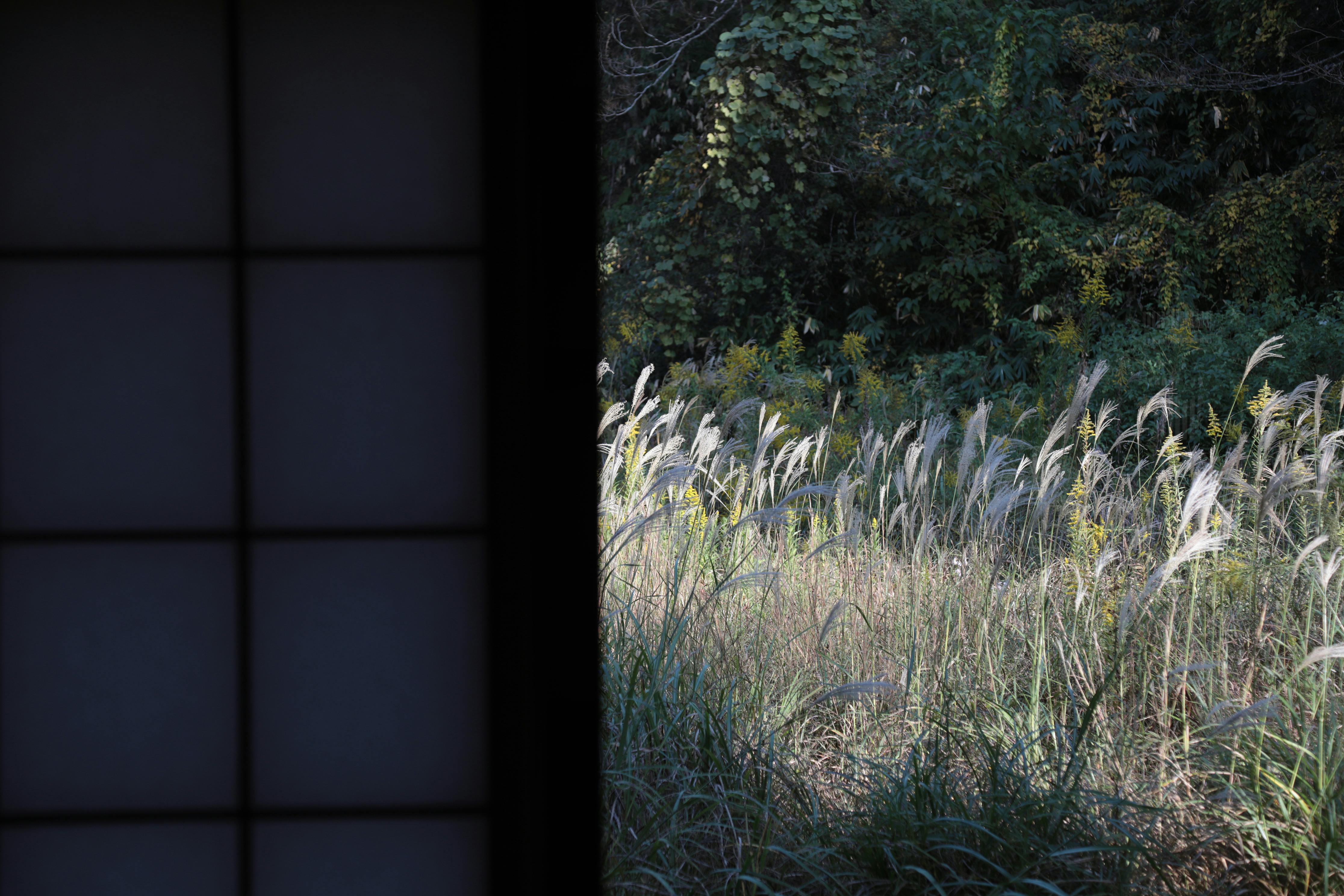 【金沢市深谷町エリア】撮影やアート展、ワークショップに最適な一軒家内和室イベントスペース(茜の間➁)