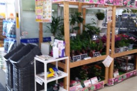 【サンデー藤島店】風除室店内側 食物販やプロモーション等の出店に最適なホームセンター店内のイベントスペース