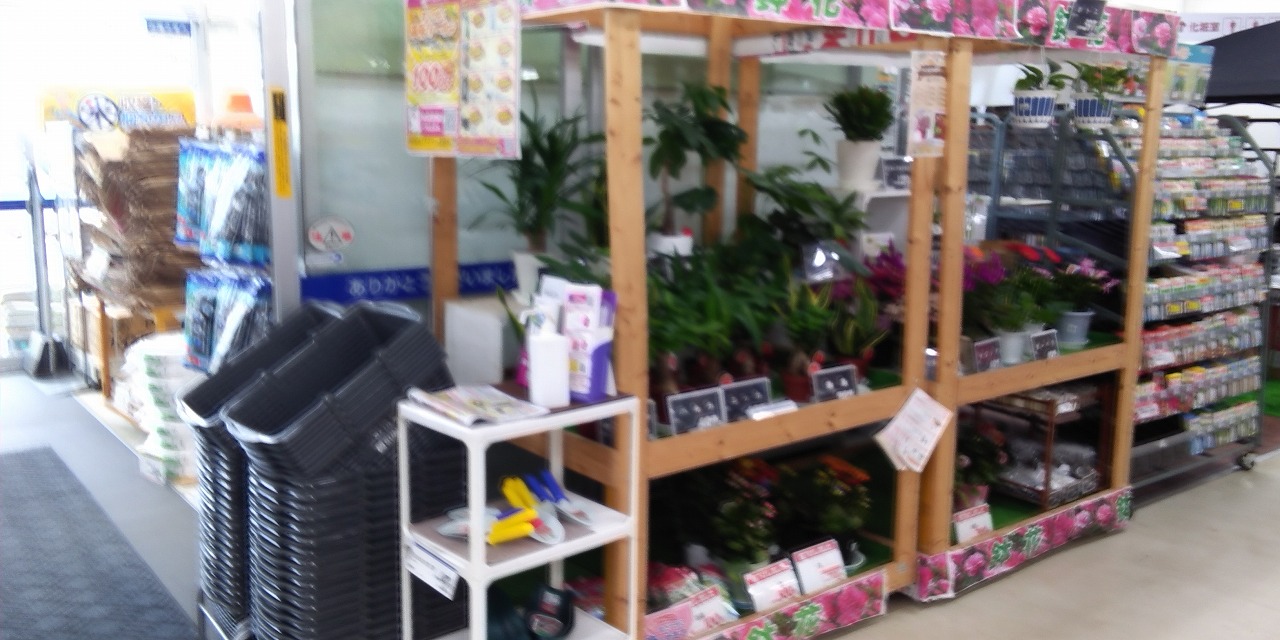 【サンデー藤島店】風除室店内側　食物販やプロモーション等の出店に最適なホームセンター店内のイベントスペース