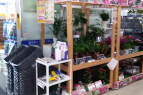 【サンデー藤島店】風除室店内側 食物販やプロモーション等の出店に最適なホームセンター店内のイベントスペース