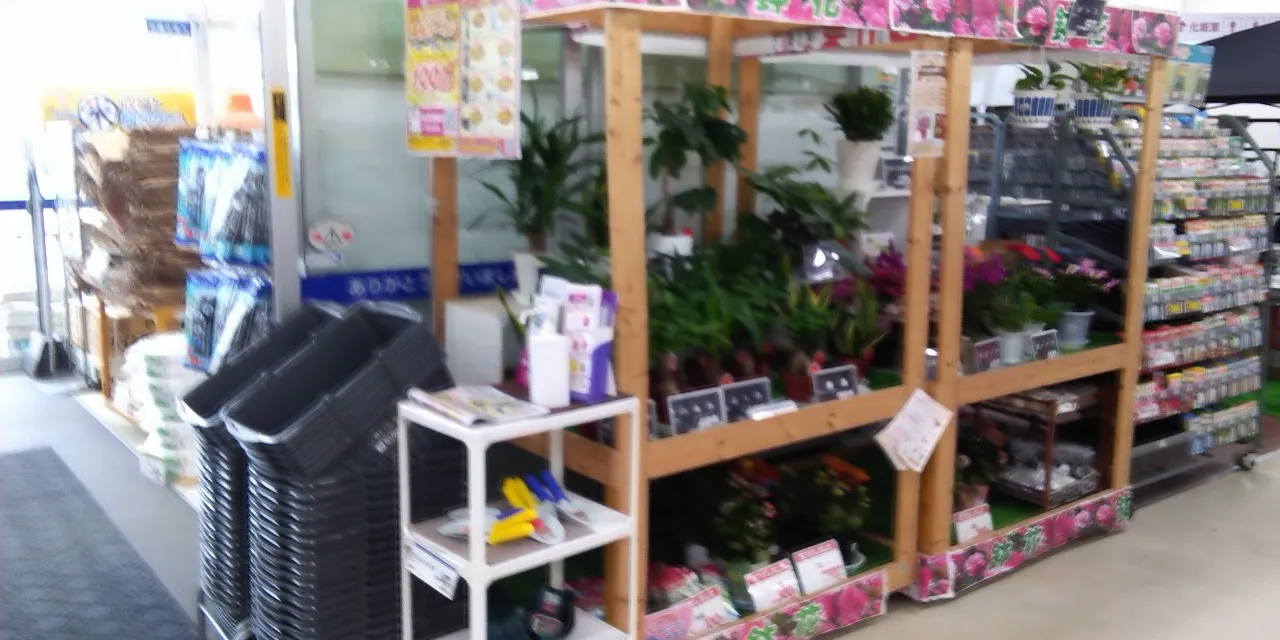 【サンデー藤島店】風除室店内側　食物販やプロモーション等の出店に最適なホームセンター店内のイベントスペース