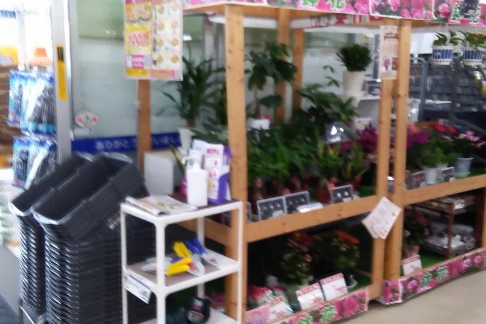 【サンデー藤島店】風除室店内側 食物販やプロモーション等の出店に最適なホームセンター店内のイベントスペース