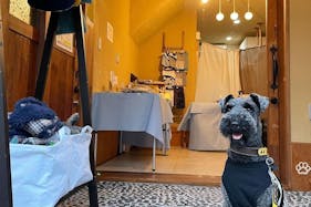 【千駄木駅5分】物販・ワークショップ・セッション・施術など多目的に使える路面店。グループ展に最適です。