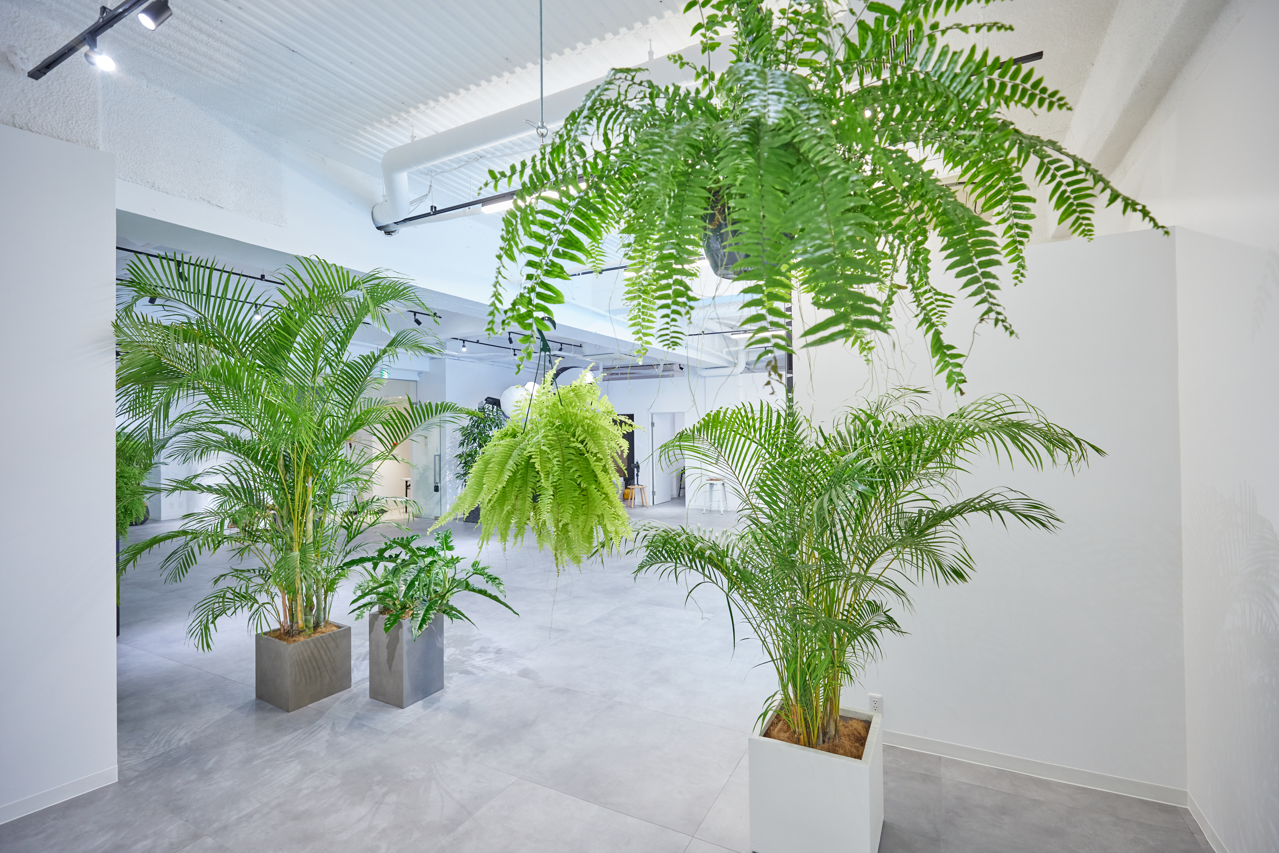 【外苑前駅4分】大型LEDスクリーン！撮影やポップアップストアに最適な、白壁＆171㎡の広々空間＆アクセス抜群のイベントスペース