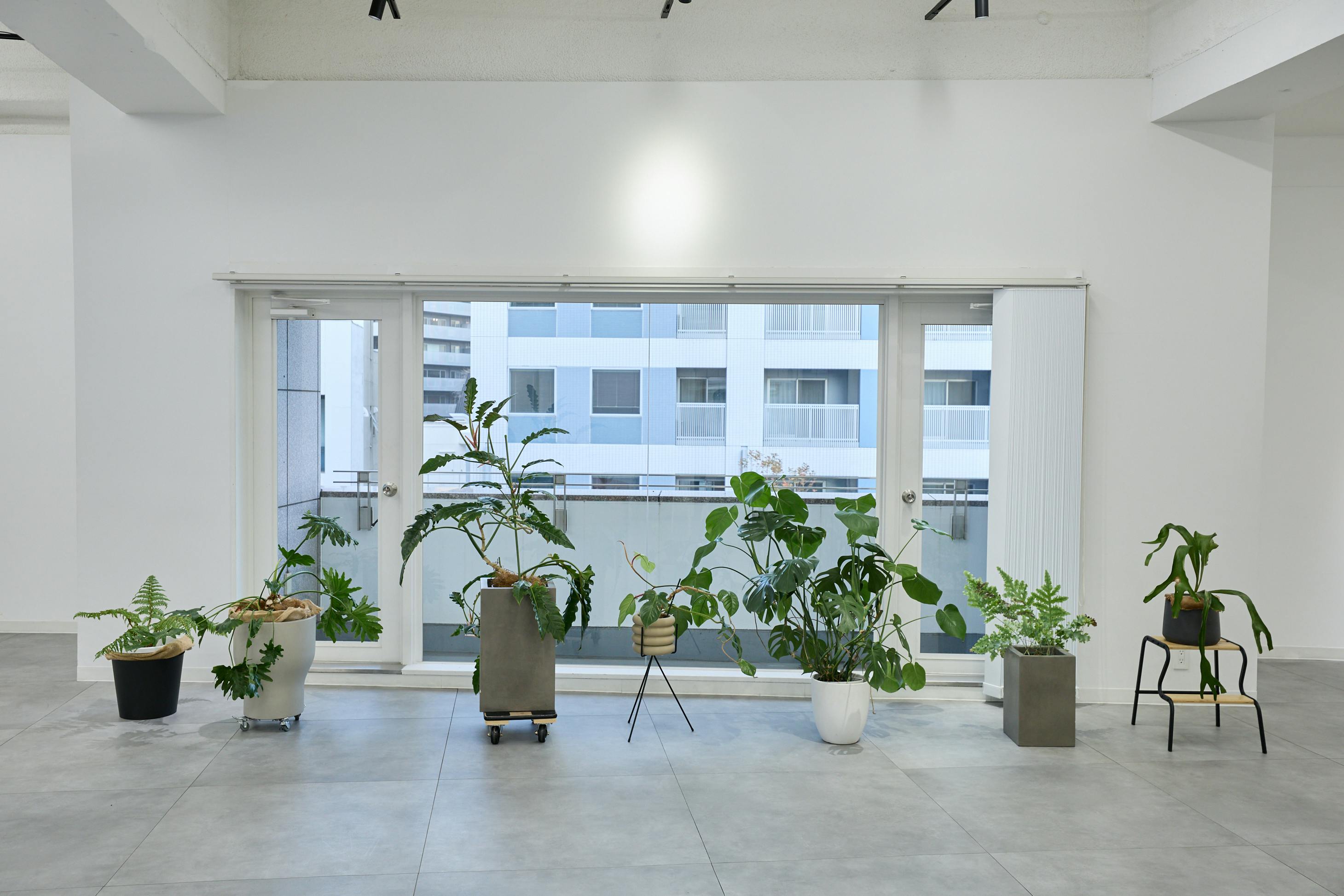 【外苑前駅4分】大型LEDスクリーン！撮影やポップアップストアに最適な、白壁＆171㎡の広々空間＆アクセス抜群のイベントスペース