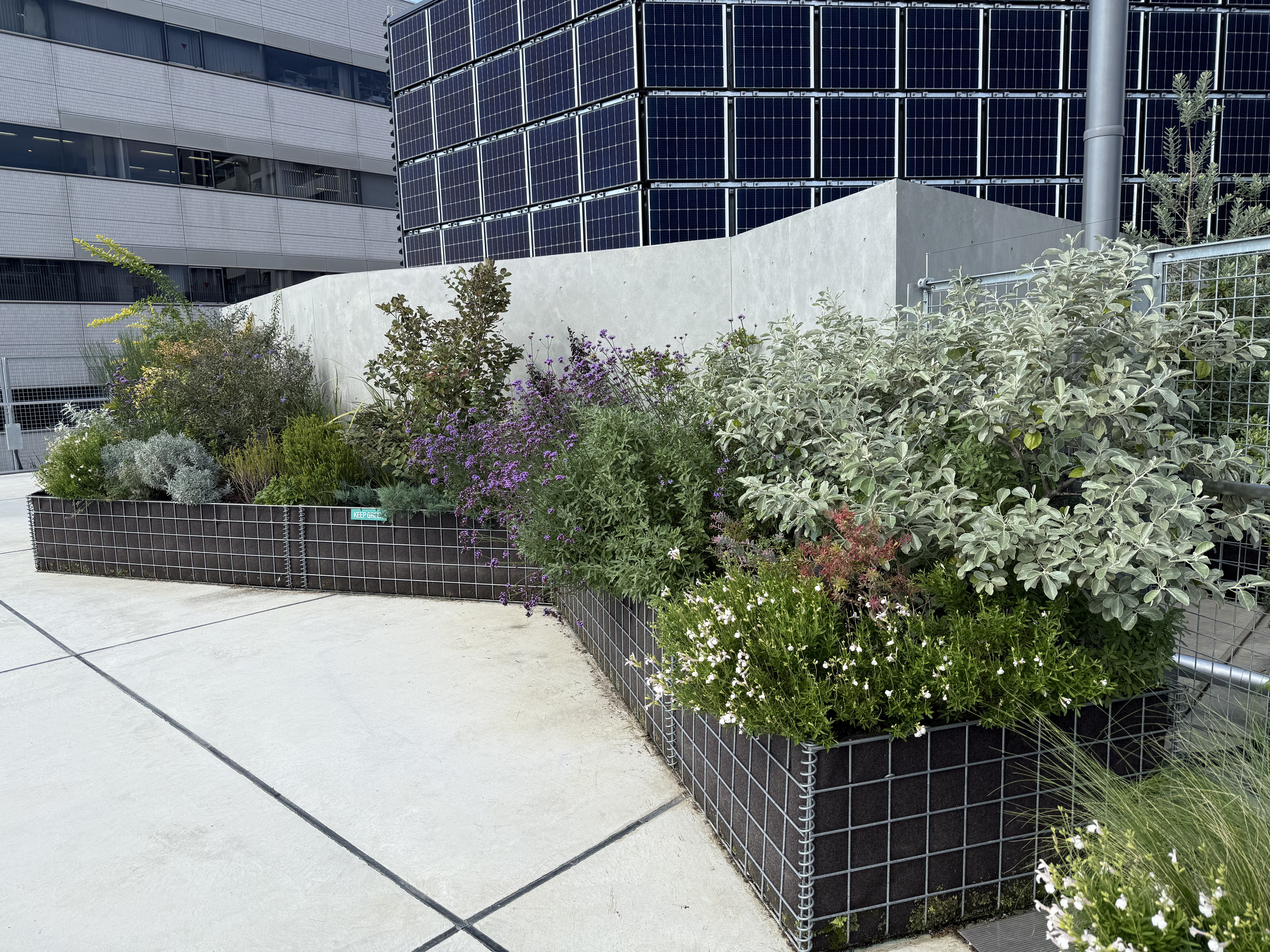 【KOMAZAWA Park Quarter】【駒沢大学駅徒歩１分】駒沢の街を一望できる屋上イベントスペース「KOMAZAWA Park Quarter Rooftop」