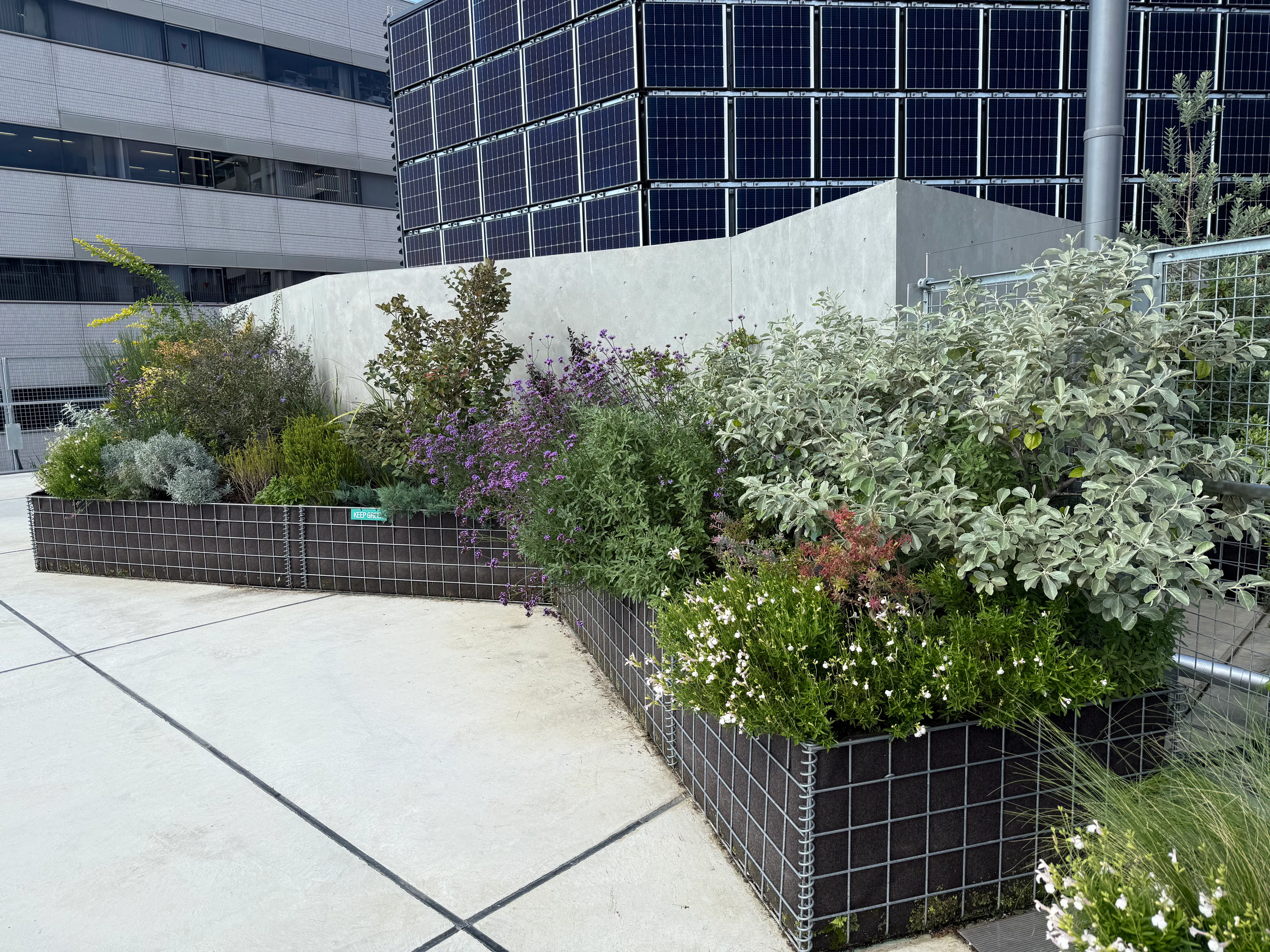 【KOMAZAWA Park Quarter】【駒沢大学駅徒歩１分】駒沢の街を一望できる屋上イベントスペース「KOMAZAWA Park Quarter Rooftop」