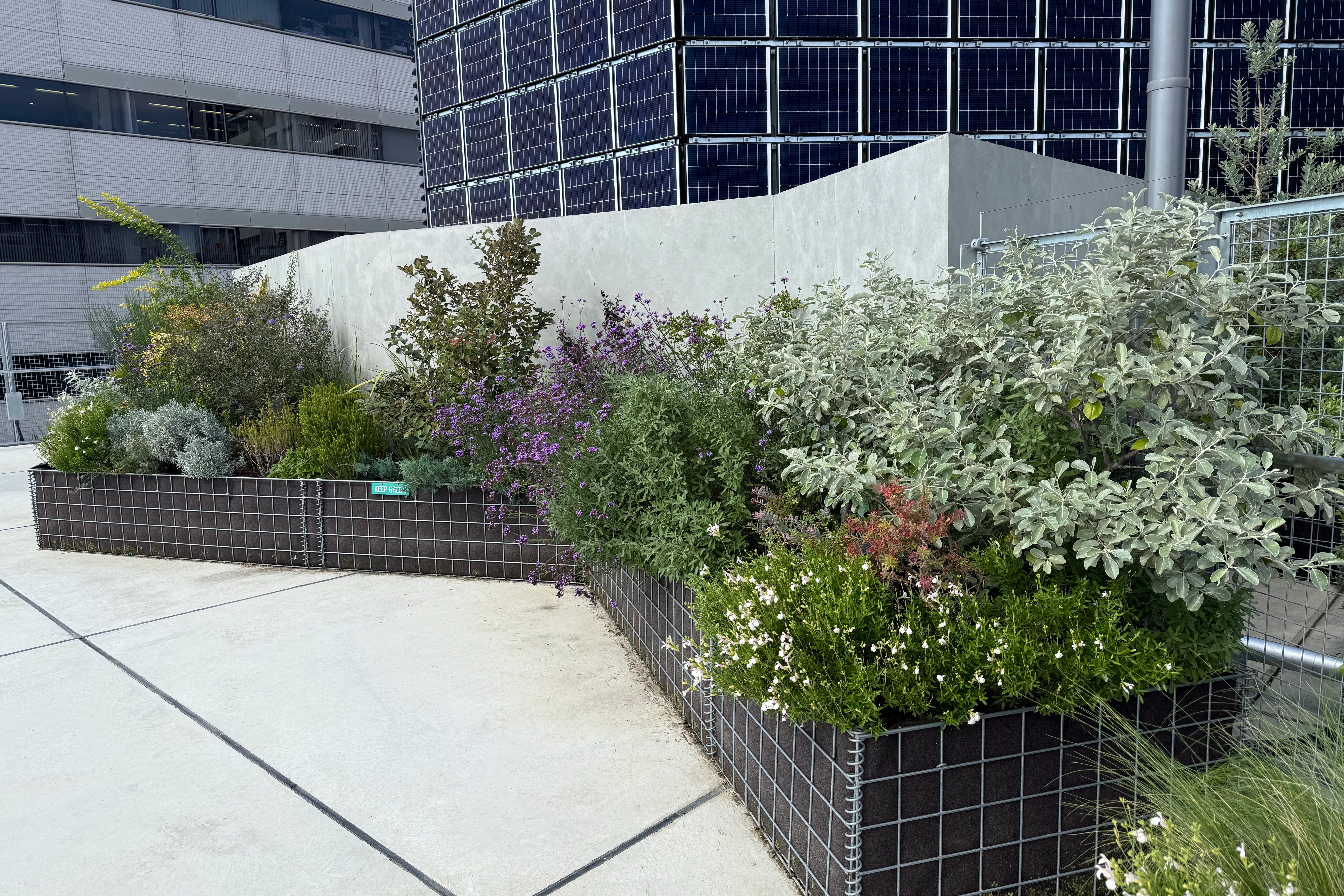 【KOMAZAWA Park Quarter】【駒沢大学駅徒歩1分】駒沢の街を一望できる屋上イベントスペース「KOMAZAWA Park Quarter Rooftop」