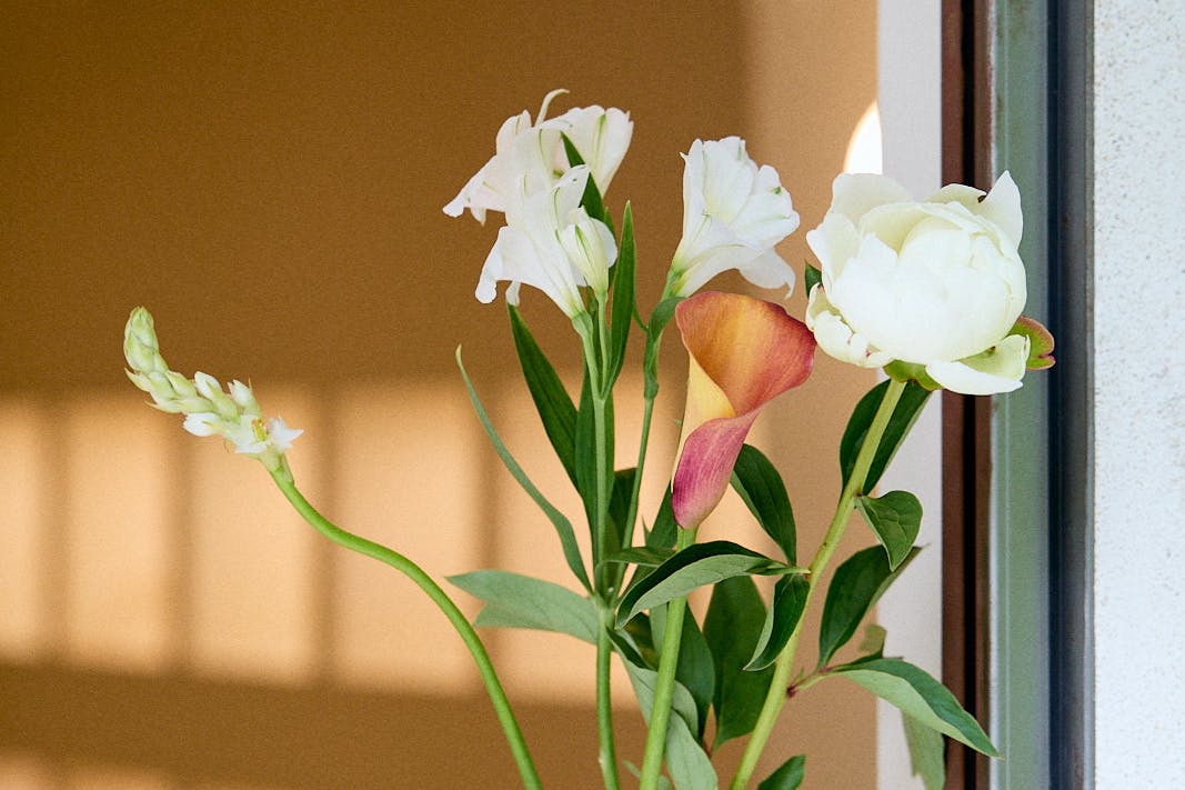 【乃木坂駅3分】展示会やポップアップストアに最適!六本木エリアに静かに佇む隠れ家的レンタルスペース「102Gallery」