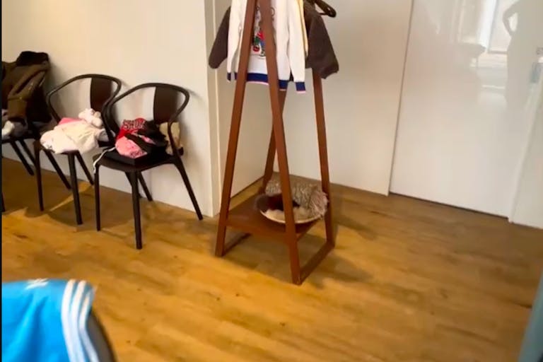 【代々木公園駅6分】レンタルスペース 利用例1