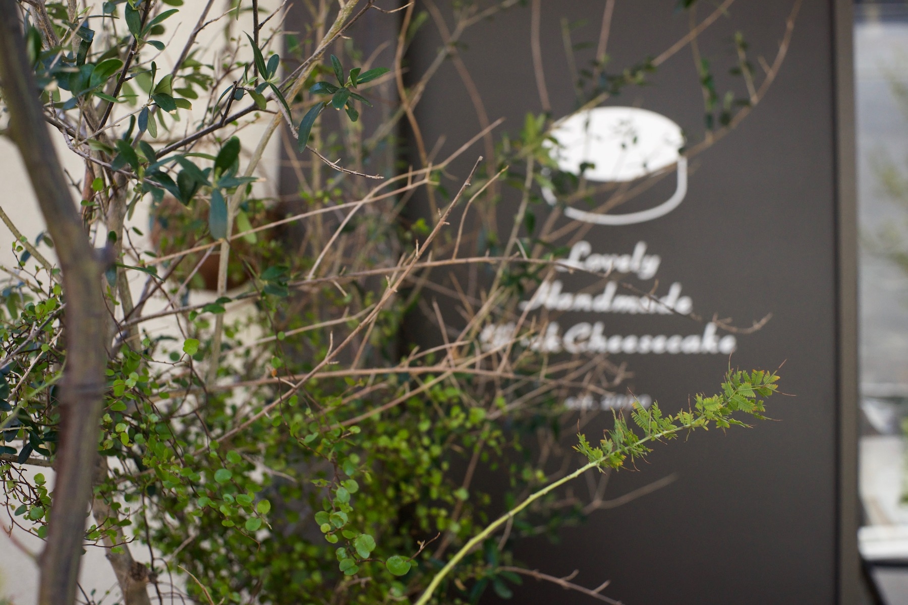 エントランス植栽