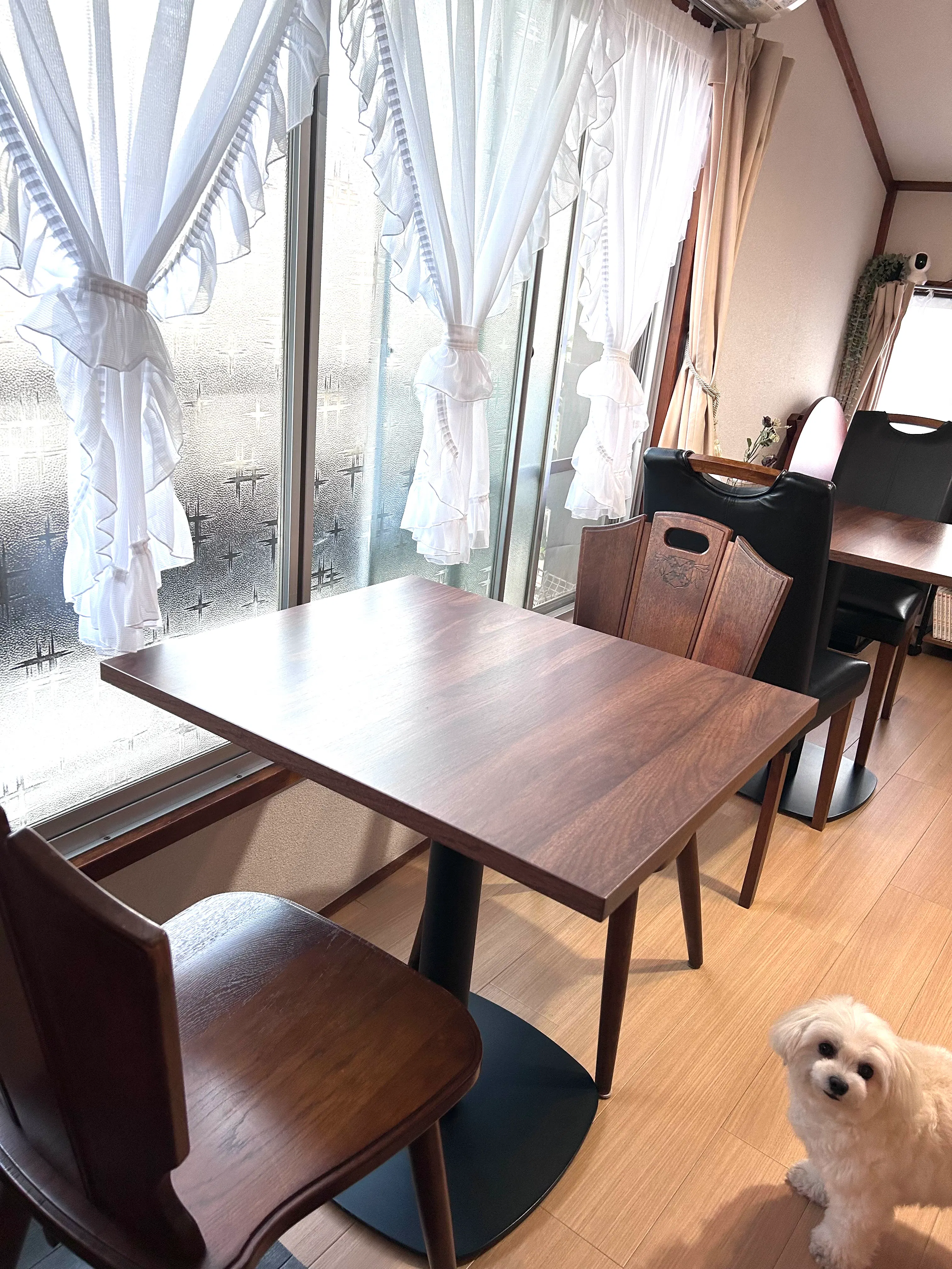 【要町駅9分｜千川駅9分】古民家 White Happy｜昭和レトロな一軒家を活用できるポップアップストア