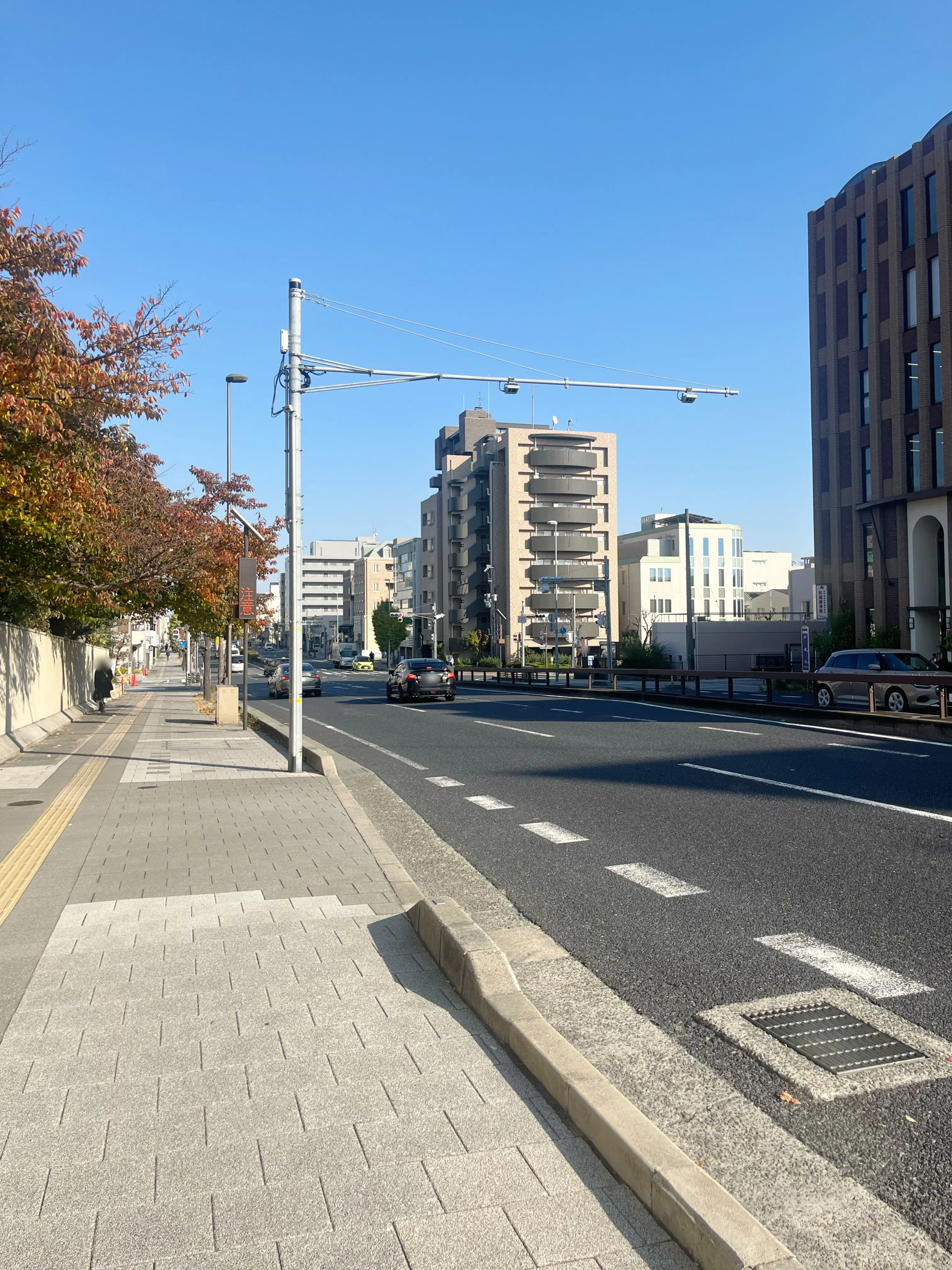 【芦屋駅6分】展示会やポップアップストアに最適！高級住宅街に佇む白を基調とした上質な路面角地のギャラリースペース