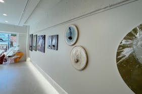 【芦屋駅6分】展示会やポップアップストアに最適!高級住宅街に佇む白を基調とした上質な路面角地のギャラリースペース