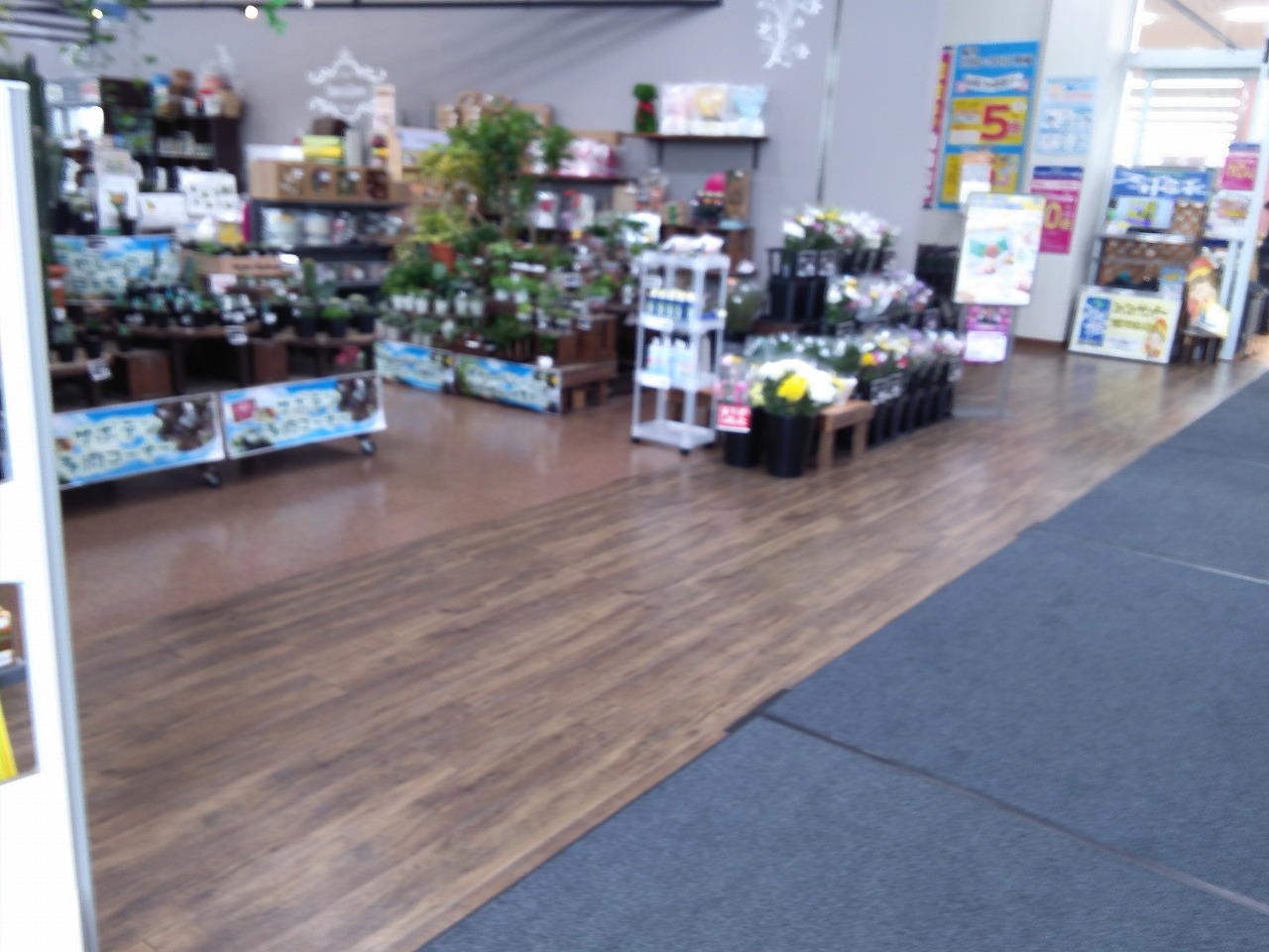 【サンデー盛岡本宮店】屋内フラワーショップ前　食物販やプロモーション等の出店に最適なホームセンター店内のイベントスペース