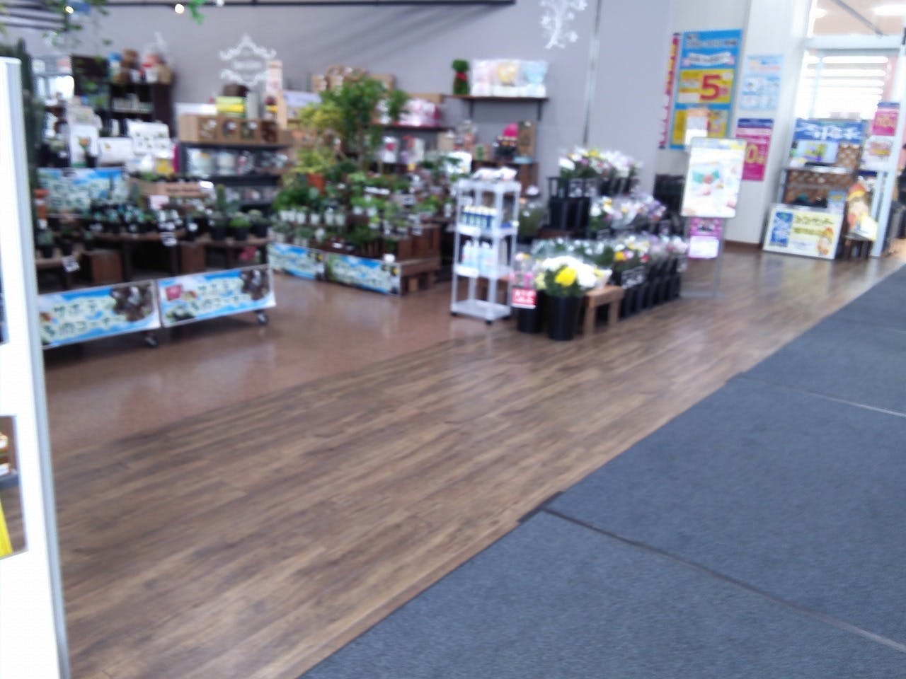 【サンデー盛岡本宮店】屋内フラワーショップ前　食物販やプロモーション等の出店に最適なホームセンター店内のイベントスペース