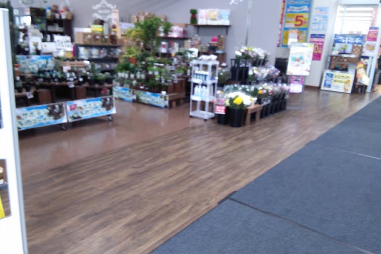 【サンデー盛岡本宮店】屋内フラワーショップ前 食物販やプロモーション等の出店に最適なホームセンター店内のイベントスペースの画像1