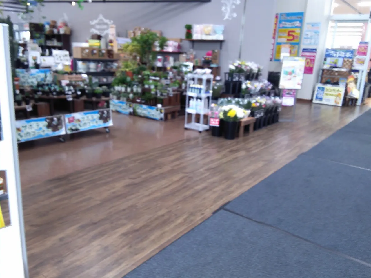 【サンデー盛岡本宮店】屋内フラワーショップ前　食物販やプロモーション等の出店に最適なホームセンター店内のイベントスペースの画像