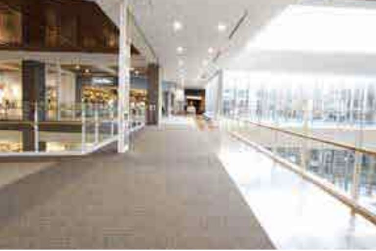 【イオンモール沖縄ライカム】4F ネイチャーブリッジの画像2