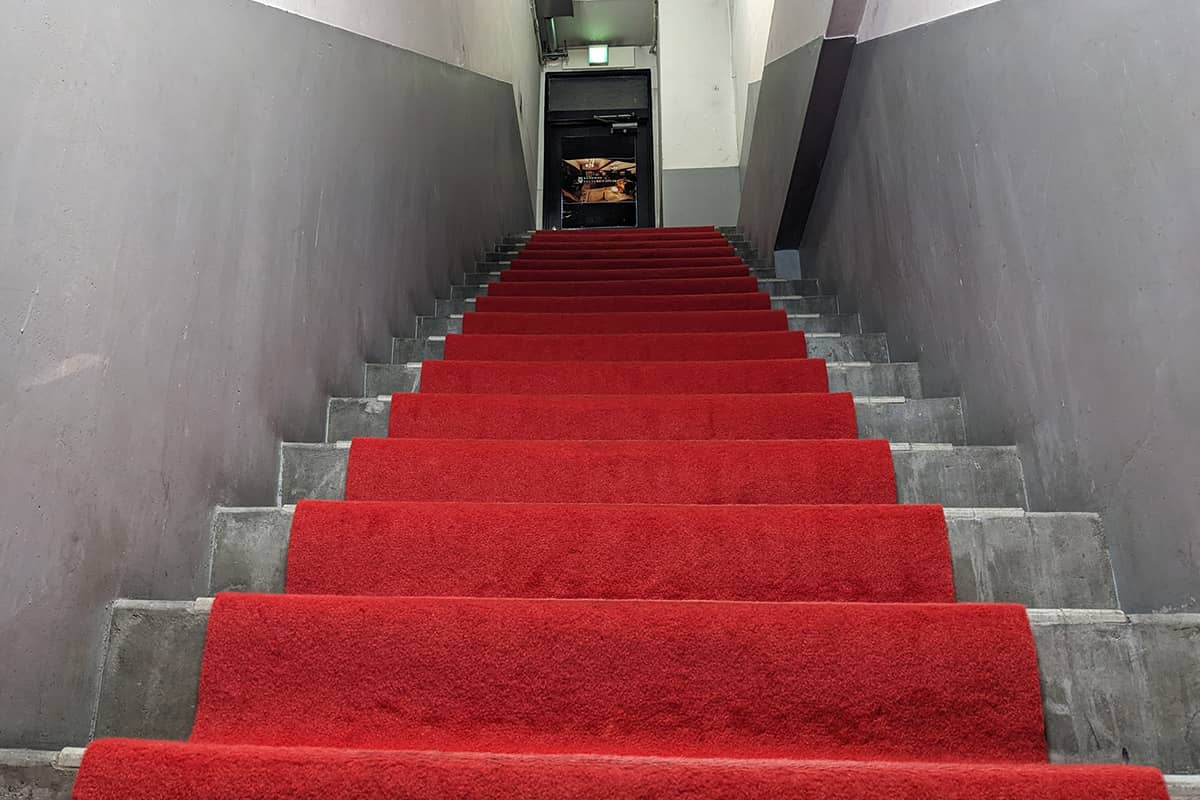 入口階段のレッドカーペット