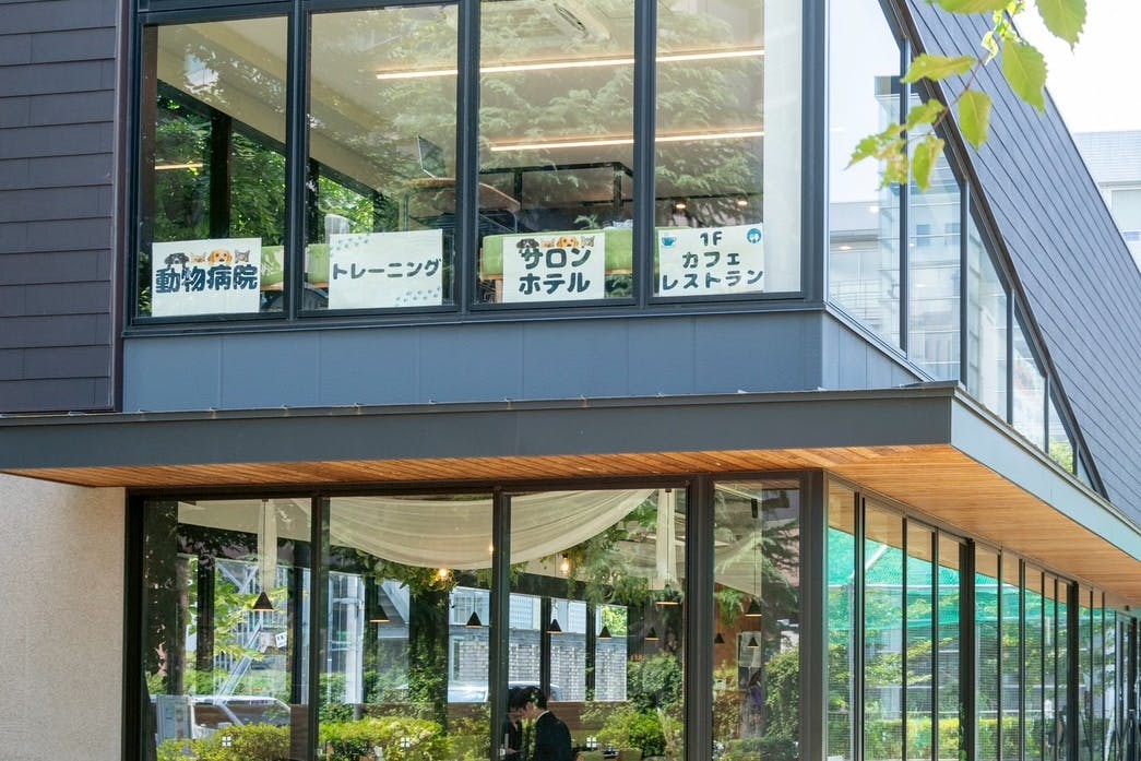 【恵比寿駅3分】 動画やロケ撮影、交流会にもおすすめ!様々な用途で利用できる爽やかで開放的なレンタルスペース「Relax CAFE」