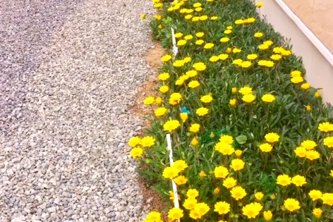 【西天下茶屋駅4分】キッチンカーの出店や商品撮影・ロケ等に最適な屋外イベントスペース