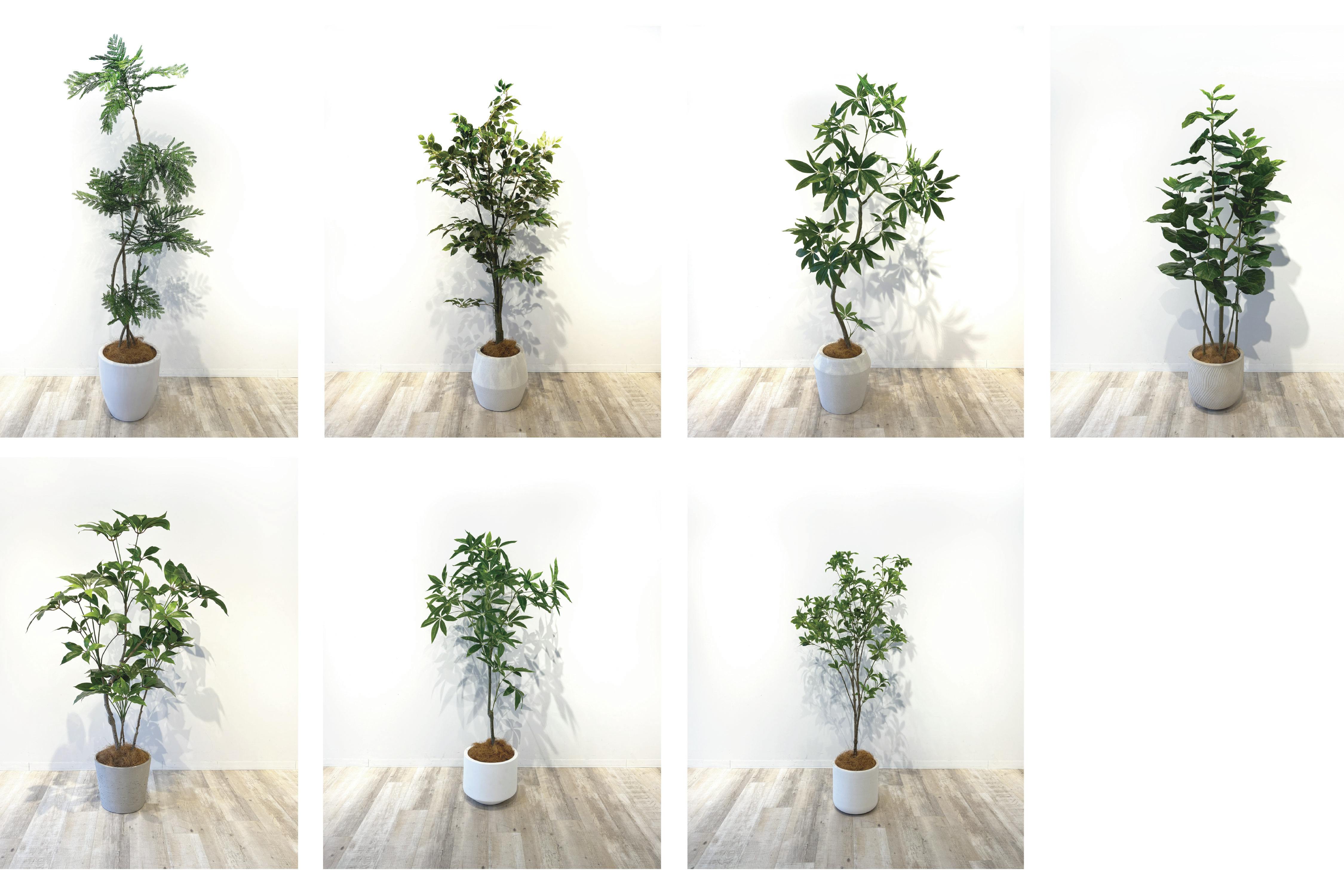 フェイク植栽のレンタルを始めました!